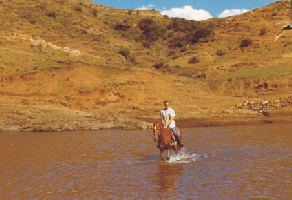 Wir gingen dort oft Reiten
